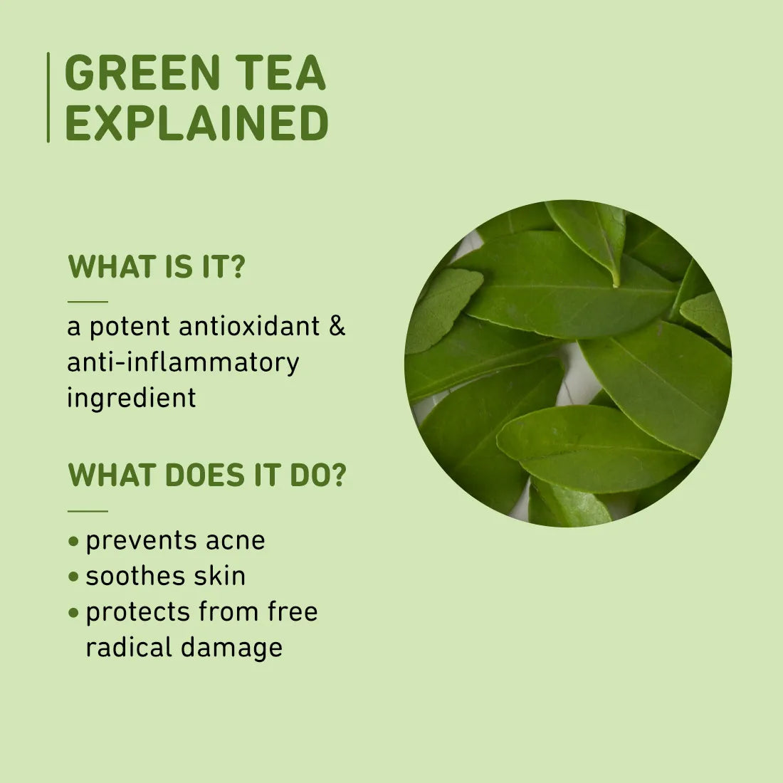 Plum Green Tea Alcohol-Free Toner (200 ml)